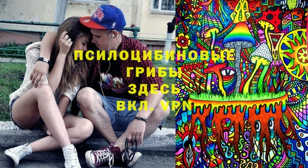 крисы Грязи